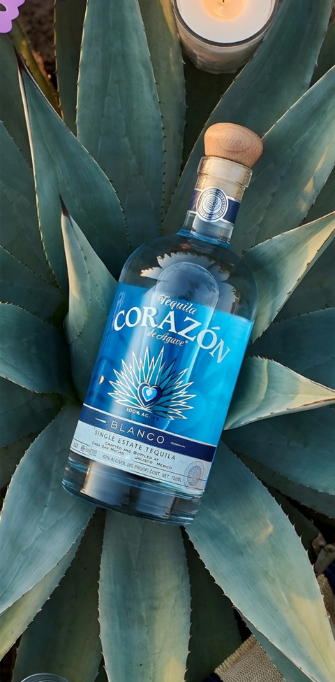 Agave: The Plant Behind the Spirit