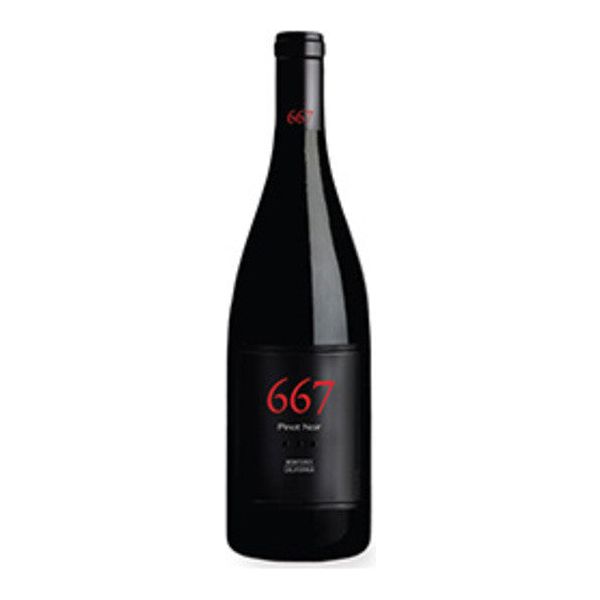 Noble Vines 667 Pinot Noir - SoCal Wine & Spirits