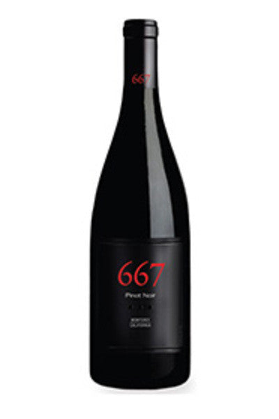 Noble Vines 667 Pinot Noir - SoCal Wine & Spirits